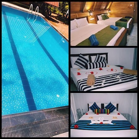 Habarana New Star Homestay Εξωτερικό φωτογραφία