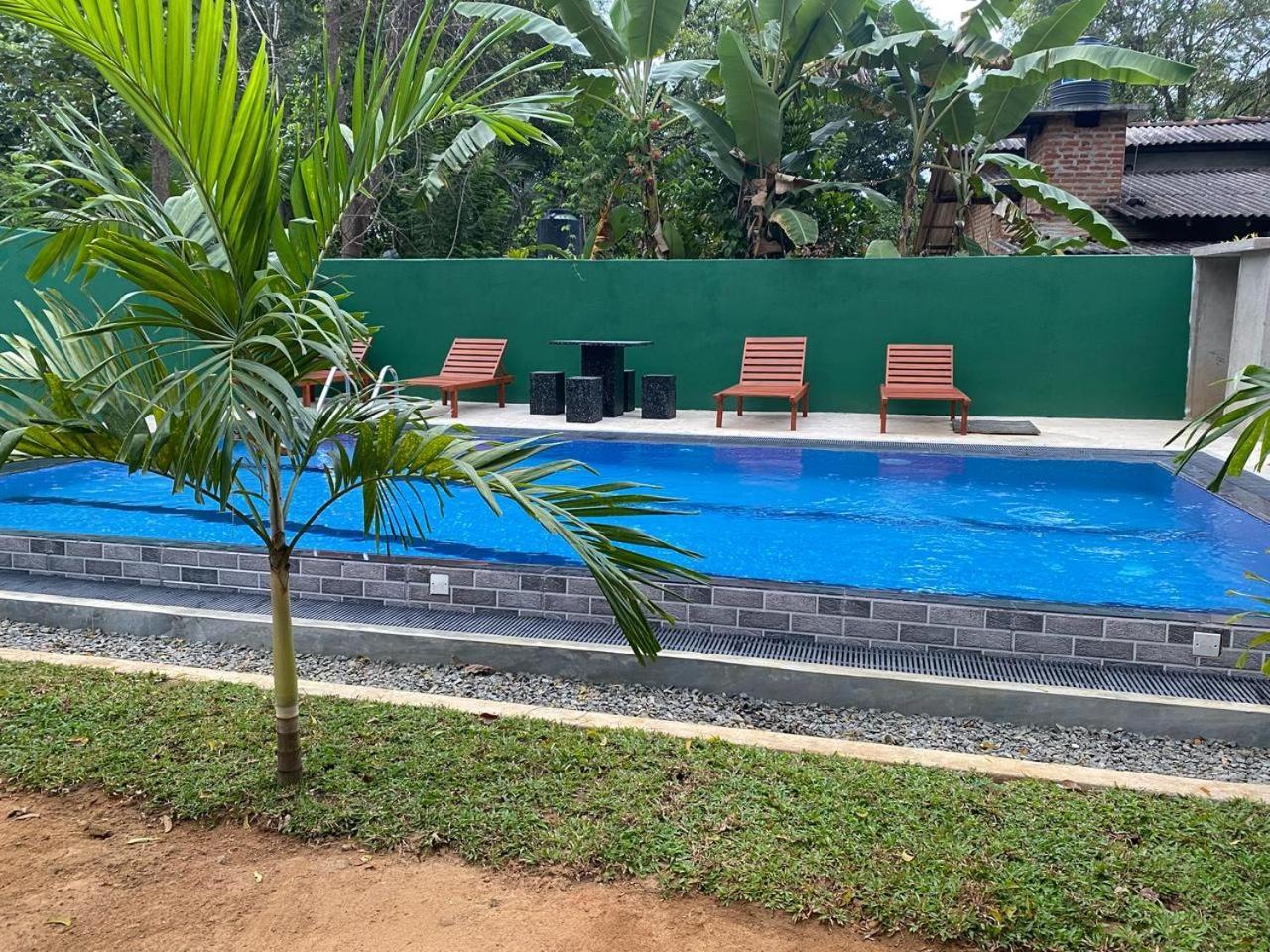 Habarana New Star Homestay Εξωτερικό φωτογραφία
